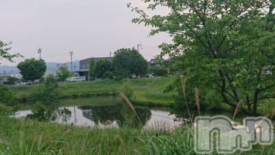 長岡デリヘル 人妻楼　長岡店(ヒトヅマロウ　ナガオカテン) なな(43)の5月21日写メブログ「邪魔だなぁと」