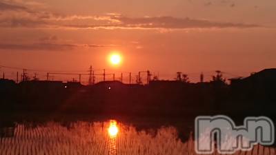 長岡デリヘル 人妻楼　長岡店(ヒトヅマロウ　ナガオカテン) なな(43)の5月25日写メブログ「今日のお昼に・・」