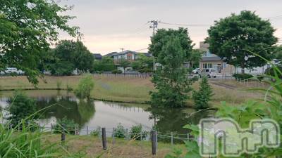 長岡デリヘル 人妻楼　長岡店(ヒトヅマロウ　ナガオカテン) なな(43)の6月16日写メブログ「わたしの血液型」