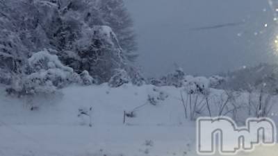 長岡デリヘル 人妻楼　長岡店(ヒトヅマロウ　ナガオカテン) なな(43)の1月29日写メブログ「何台も」