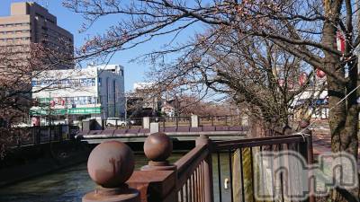 長岡デリヘル 人妻楼　長岡店(ヒトヅマロウ　ナガオカテン) なな(43)の3月29日写メブログ「何処か分かるかな？」