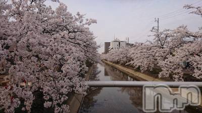 長岡デリヘル 人妻楼　長岡店(ヒトヅマロウ　ナガオカテン) なな(43)の4月5日写メブログ「長岡駅裏のいま」