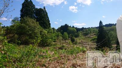 長岡デリヘル 人妻楼　長岡店(ヒトヅマロウ　ナガオカテン) なな(43)の5月2日写メブログ「山へ行きました。」