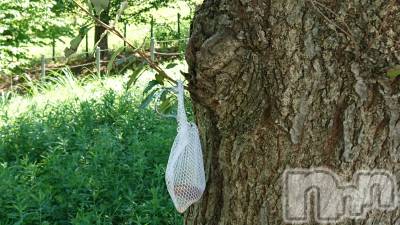 長岡デリヘル 人妻楼　長岡店(ヒトヅマロウ　ナガオカテン) なな(43)の8月11日写メブログ「何だ何だ？」