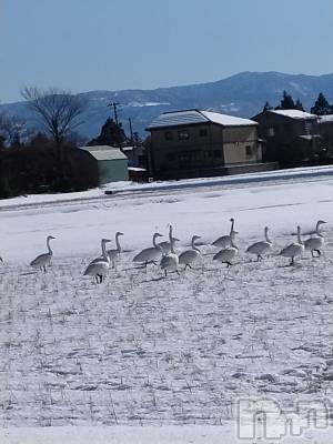 長岡デリヘル 人妻楼　長岡店(ヒトヅマロウ　ナガオカテン) なな(43)の1月9日写メブログ「近所でなんと！！✌」