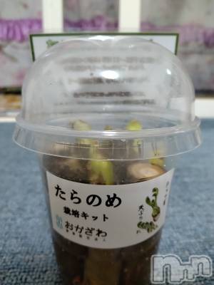 長岡デリヘル 人妻楼　長岡店(ヒトヅマロウ　ナガオカテン) なな(43)の2月23日写メブログ「こんなのが！！」