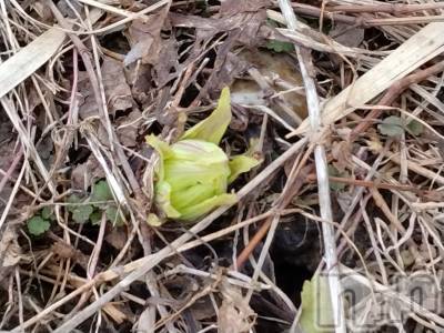 長岡デリヘル 人妻楼　長岡店(ヒトヅマロウ　ナガオカテン) なな(43)の2月28日写メブログ「わかるかな？」