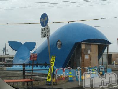 長岡デリヘル 人妻楼　長岡店(ヒトヅマロウ　ナガオカテン) なな(43)の3月17日写メブログ「鯨波のクジラちゃんが！」