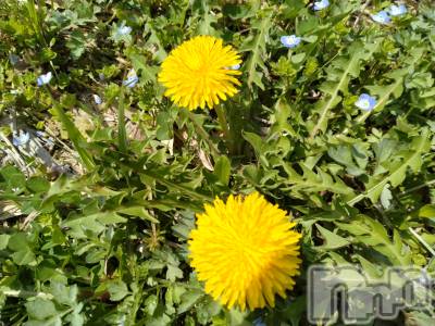 長岡デリヘル 人妻楼　長岡店(ヒトヅマロウ　ナガオカテン) なな(43)の4月5日写メブログ「何をとってるの？」