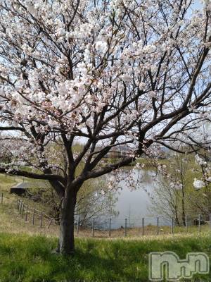長岡デリヘル 人妻楼　長岡店(ヒトヅマロウ　ナガオカテン) なな(43)の4月9日写メブログ「近所の池の前に」