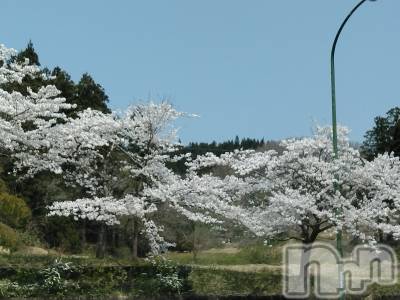長岡デリヘル 人妻楼　長岡店(ヒトヅマロウ　ナガオカテン) なな(43)の4月14日写メブログ「この場所は」