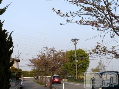 長岡デリヘル 人妻楼　長岡店(ヒトヅマロウ　ナガオカテン) なな(43)の4月19日写メブログ「さっき近所に」