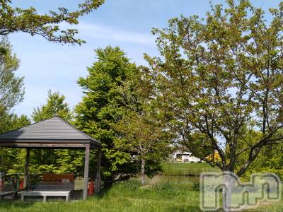 長岡デリヘル 人妻楼　長岡店(ヒトヅマロウ　ナガオカテン) なな(43)の4月23日写メブログ「ここは、近所の」