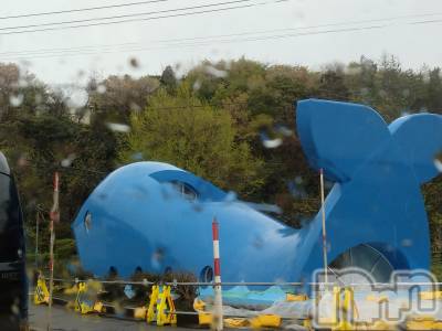 長岡デリヘル 人妻楼　長岡店(ヒトヅマロウ　ナガオカテン) なな(43)の4月24日写メブログ「鯨波の🐳ちゃん」