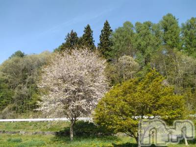 長岡デリヘル 人妻楼　長岡店(ヒトヅマロウ　ナガオカテン) なな(43)の4月29日写メブログ「長野の」