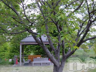 長岡デリヘル 人妻楼　長岡店(ヒトヅマロウ　ナガオカテン) なな(43)の4月29日写メブログ「間違えて食べたら」