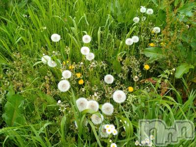 長岡デリヘル 人妻楼　長岡店(ヒトヅマロウ　ナガオカテン) なな(43)の5月3日写メブログ「多分フカフカ！」