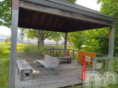 長岡デリヘル 人妻楼　長岡店(ヒトヅマロウ　ナガオカテン) なな(43)の5月20日写メブログ「音の正体はコレだった！」