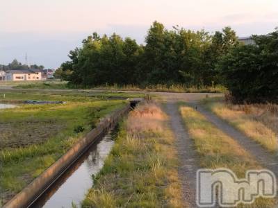 長岡デリヘル 人妻楼　長岡店(ヒトヅマロウ　ナガオカテン) なな(43)の6月1日写メブログ「ライオンがいた！！」