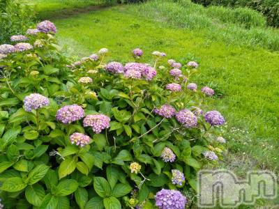 長岡デリヘル 人妻楼　長岡店(ヒトヅマロウ　ナガオカテン) なな(43)の6月23日写メブログ「やっと」