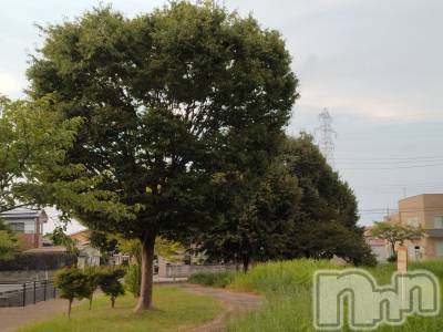 長岡デリヘル 人妻楼　長岡店(ヒトヅマロウ　ナガオカテン) なな(43)の8月25日写メブログ「今夜ニュースで」