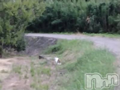 長岡デリヘル 人妻楼　長岡店(ヒトヅマロウ　ナガオカテン) なな(43)の9月21日写メブログ「やっぱり！」