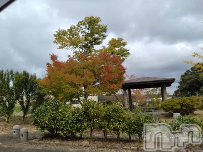 長岡デリヘル 人妻楼　長岡店(ヒトヅマロウ　ナガオカテン) なな(43)の9月28日写メブログ「西山インター付近」
