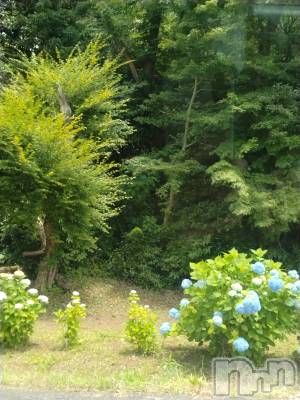 長岡デリヘル 人妻楼 長岡店(ヒトヅマロウ ナガオカテン) なな(43)の6月17日写メブログ「柏崎の」