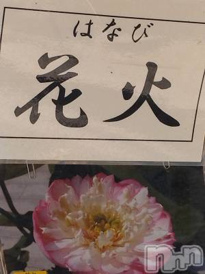 長岡デリヘル 人妻楼 長岡店(ヒトヅマロウ ナガオカテン) なな(43)の8月1日写メブログ「こちらも花火が!」