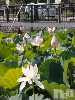 長岡デリヘル 人妻楼 長岡店(ヒトヅマロウ ナガオカテン) なな(43)の8月1日写メブログ「正体は!」