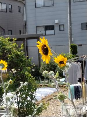 長岡デリヘル 人妻楼　長岡店(ヒトヅマロウ　ナガオカテン) なな(43)の9月10日写メブログ「似てるけど！」