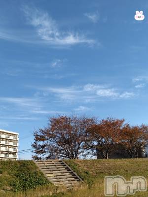 長岡デリヘル 人妻楼　長岡店(ヒトヅマロウ　ナガオカテン) なな(43)の11月16日写メブログ「今日は沢山の人が」