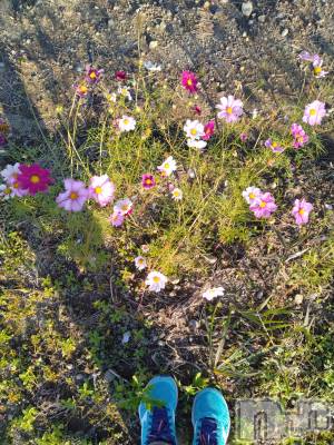 長岡デリヘル 人妻楼　長岡店(ヒトヅマロウ　ナガオカテン) なな(43)の12月20日写メブログ「買い忘れた物は！！」