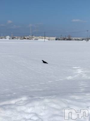 長岡デリヘル 人妻楼　長岡店(ヒトヅマロウ　ナガオカテン) なな(43)の2月12日写メブログ「一体何があったのか❓️」