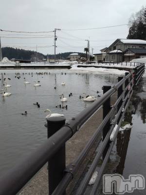 長岡デリヘル 人妻楼　長岡店(ヒトヅマロウ　ナガオカテン) なな(43)の2月16日写メブログ「西山町」