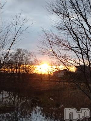 長岡デリヘル 人妻楼　長岡店(ヒトヅマロウ　ナガオカテン) なな(43)の3月12日写メブログ「この後携帯が！」