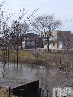 長岡デリヘル 人妻楼　長岡店(ヒトヅマロウ　ナガオカテン) なな(43)の3月21日写メブログ「やる事」