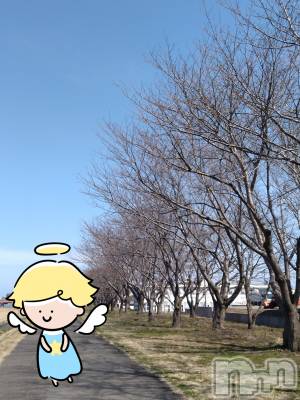 長岡デリヘル 人妻楼　長岡店(ヒトヅマロウ　ナガオカテン) なな(43)の3月25日写メブログ「常連客の一人」