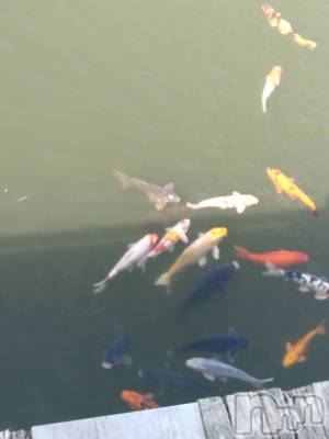 長岡デリヘル 人妻楼　長岡店(ヒトヅマロウ　ナガオカテン) なな(43)の3月26日写メブログ「小千谷市の」