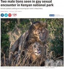 長岡デリヘル 人妻楼　長岡店(ヒトヅマロウ　ナガオカテン) なな(43)の11月8日写メブログ「求愛・・する？」