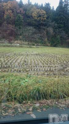 長岡デリヘル 人妻楼　長岡店(ヒトヅマロウ　ナガオカテン) なな(43)の11月26日写メブログ「なな、現場に戻る」
