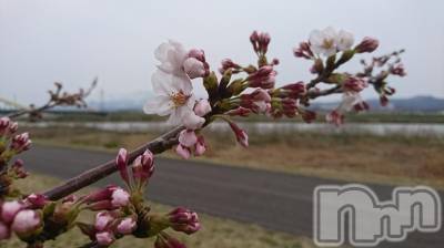 長岡デリヘル 人妻楼　長岡店(ヒトヅマロウ　ナガオカテン) なな(43)の4月1日写メブログ「こんなかんぢで」
