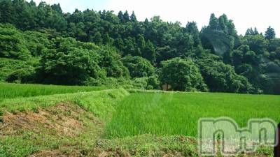 長岡デリヘル 人妻楼　長岡店(ヒトヅマロウ　ナガオカテン) なな(43)の7月21日写メブログ「スクープ！あの現場は今・(笑)・」