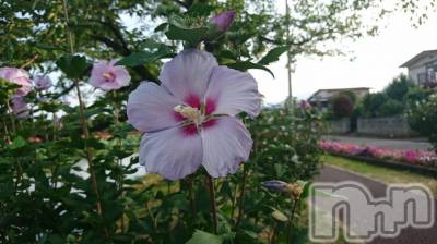 長岡デリヘル 人妻楼　長岡店(ヒトヅマロウ　ナガオカテン) なな(43)の8月24日写メブログ「あのおじいちゃん」