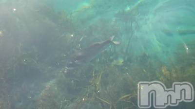 長岡デリヘル 人妻楼　長岡店(ヒトヅマロウ　ナガオカテン) なな(43)の11月3日写メブログ「海の中を覗いたら」