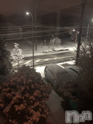 長岡デリヘル 人妻楼　長岡店(ヒトヅマロウ　ナガオカテン) なな(43)の3月30日写メブログ「雪がつもった！！」