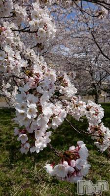 長岡デリヘル 人妻楼　長岡店(ヒトヅマロウ　ナガオカテン) なな(43)の4月13日写メブログ「アソコもまんかーい！」