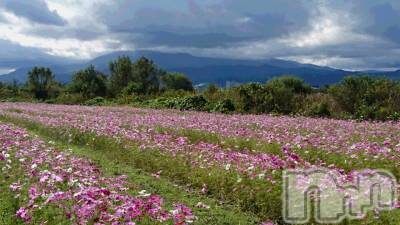長岡デリヘル 人妻楼　長岡店(ヒトヅマロウ　ナガオカテン) なな(43)の10月23日写メブログ「満開でしたー！」