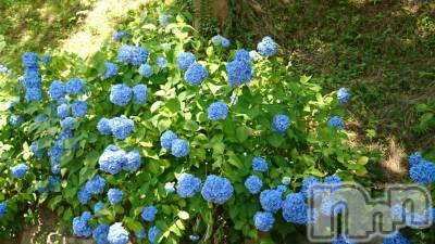 長岡デリヘル 人妻楼　長岡店(ヒトヅマロウ　ナガオカテン) なな(43)の6月24日写メブログ「追加」