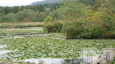 長岡デリヘル 人妻楼　長岡店(ヒトヅマロウ　ナガオカテン) なな(43)の10月6日写メブログ「妙高へ」